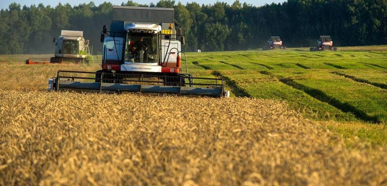 Russia joins the list of the five largest grain exporters to Brazil