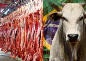 Importações russas de carne do Brasil atingem o máximo dos últimos 5 anos