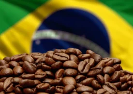 Exportações de café brasileiro à Rússia de setembro atingem valor recorde de US$ 27,7 milhões