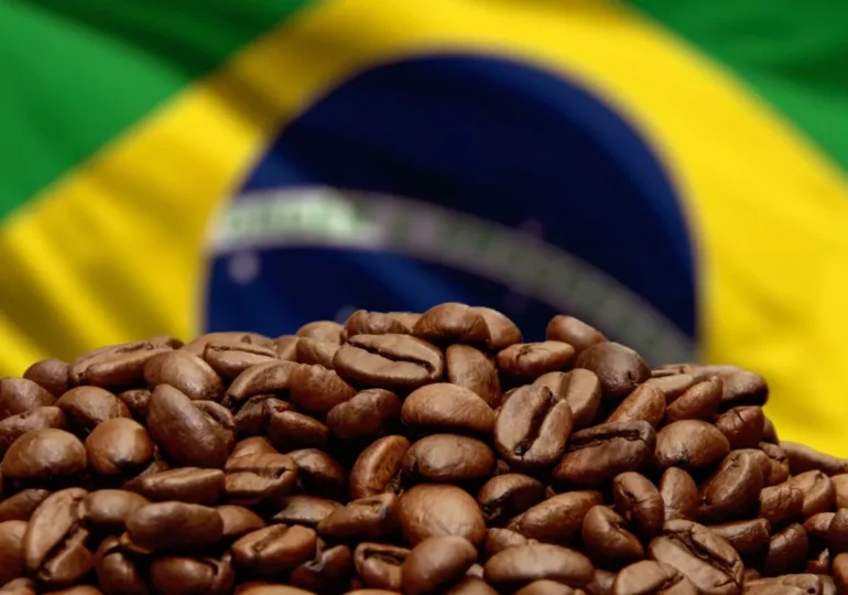 Exportações de café brasileiro à Rússia de setembro atingem valor recorde de US$ 27,7 milhões