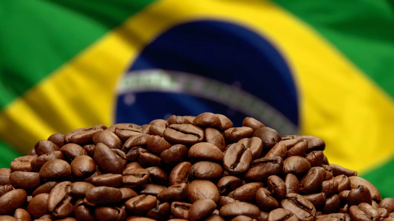 Exportações de café brasileiro à Rússia de setembro atingem valor recorde de US$ 27,7 milhões